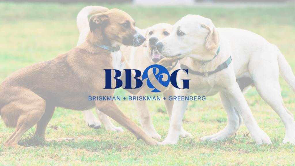 Attorney Paul Greenberg of Briskman Briskman & Greenberg Highlights Seasonal Surge in Dog Bite Incidents